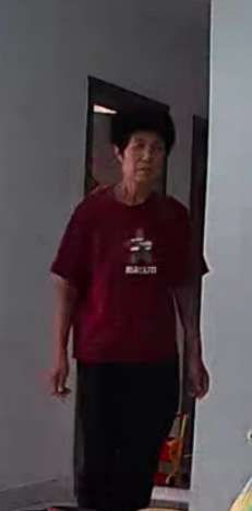 寻找精神失常的老母亲