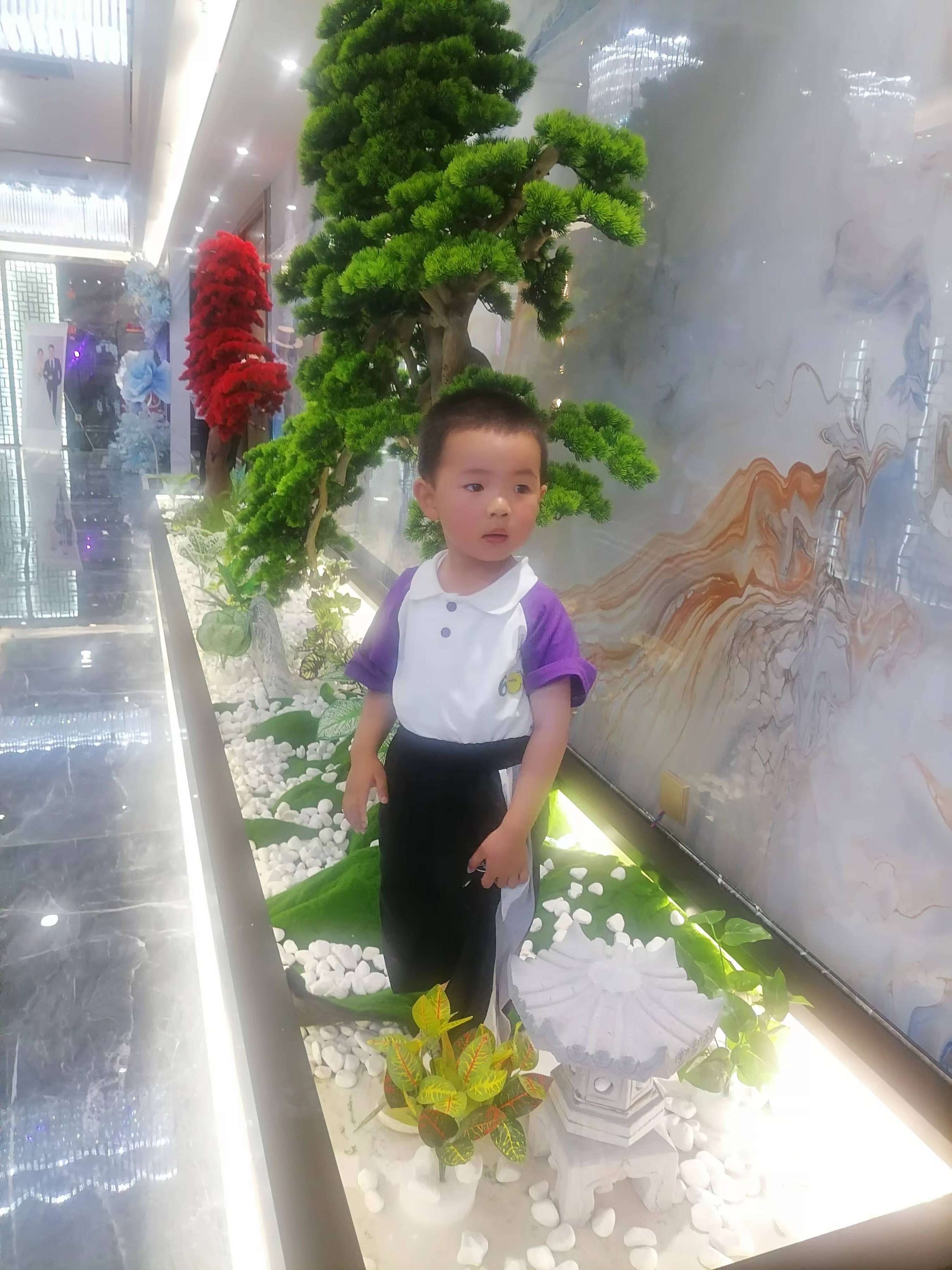 寻找我的亲人