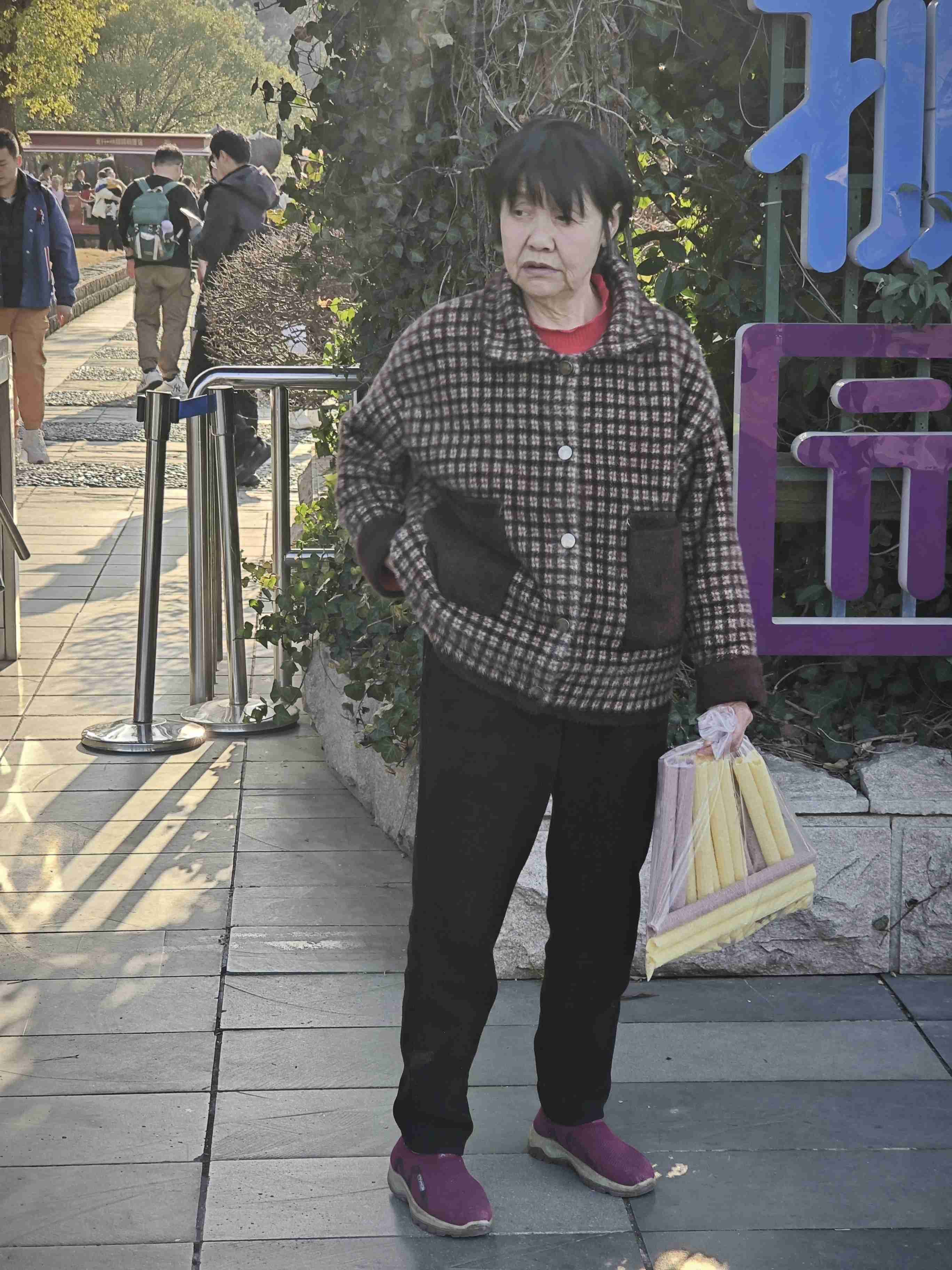 请大家帮忙找找我妈妈，她有精神病
