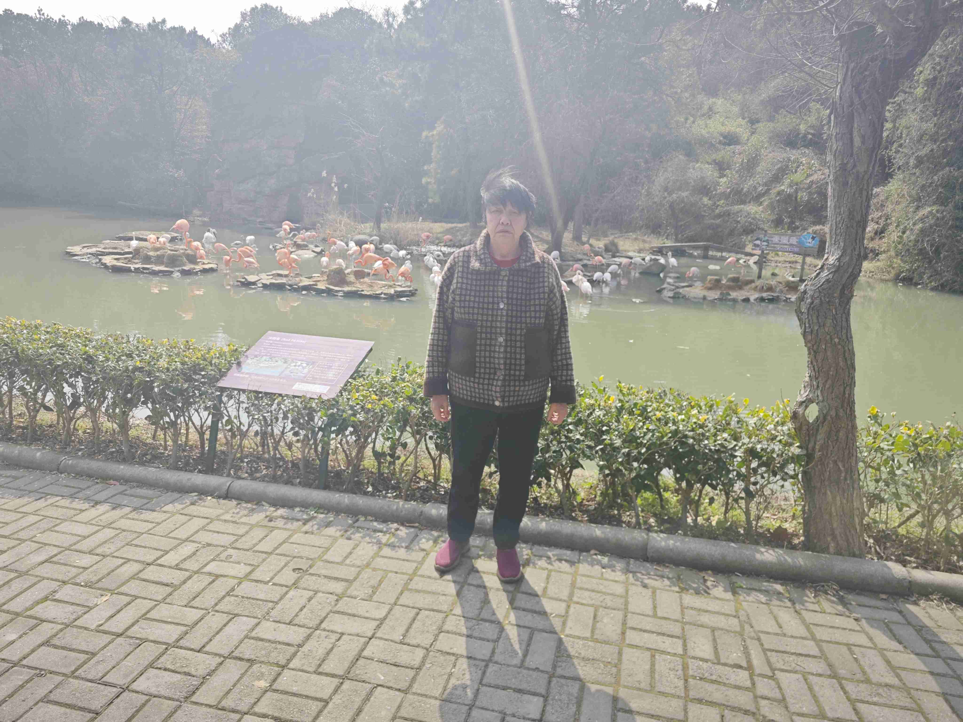 请大家帮忙找找我妈妈，她有精神病