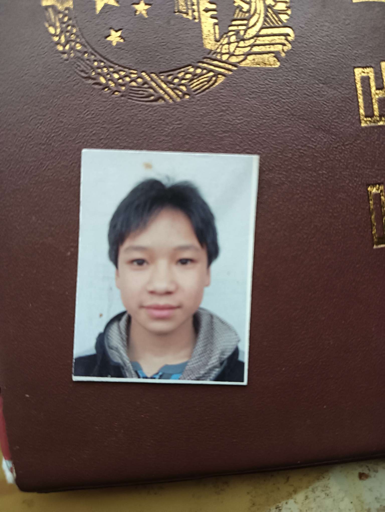 寻找儿子