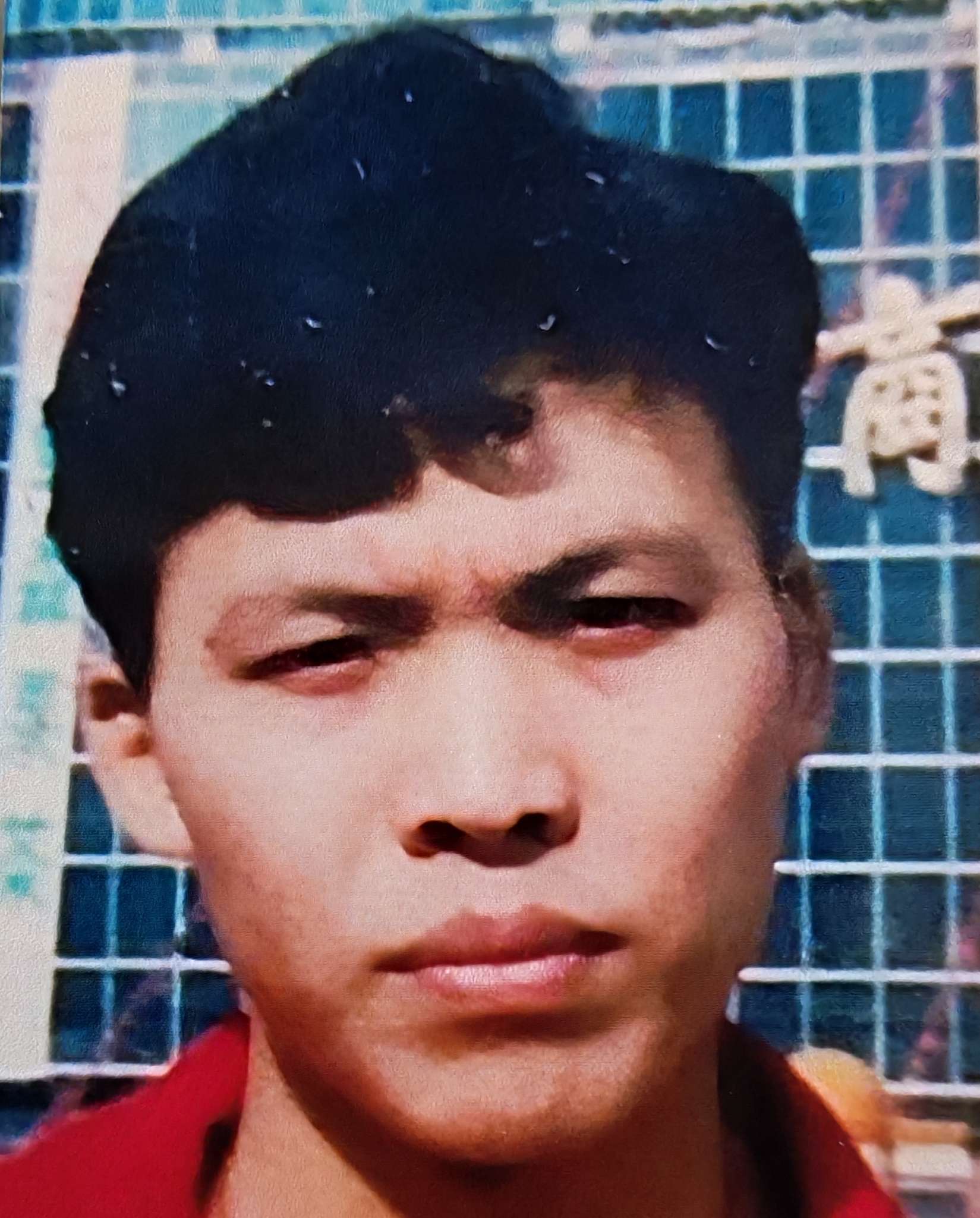 走失已久的犬子,但愿你还在世;如能找见面谢5万元。